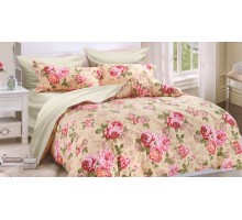 Постельное белье евростандарт Provance Le Sardon