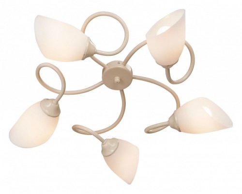 Потолочная люстра Vitaluce V3184 V3189/5PL