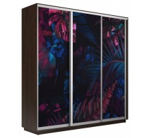 Шкаф-купе Экспресс Фото трио 1004 2400x600x2200