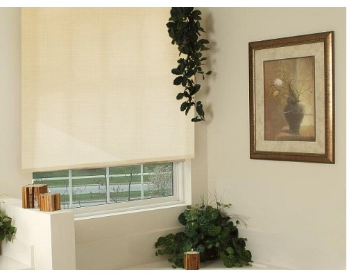 Штора рулонная (57х170 см) Эскар