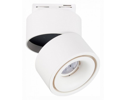 Светильник на штанге ST-Luce ST652 