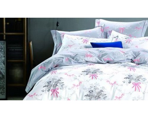 Постельное белье евростандарт RS-226