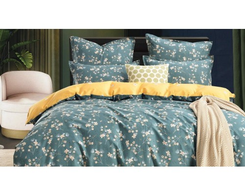 Постельное белье евростандарт Тутси