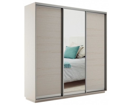 Шкаф-купе Экспресс Медиум