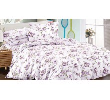 Постельное белье полутораспальное Art Color 048-AC