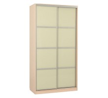 Шкаф-купе Рио 2-600