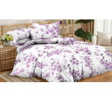 Постельное белье двуспальное Pure Cotton 153(2)-PC