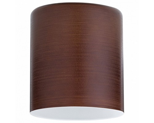 Плафон стеклянный Paulmann Zyli 60006