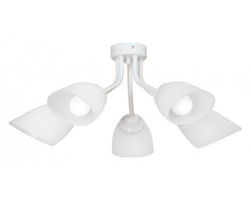 Потолочная люстра Vitaluce V3184 V3184/5PL