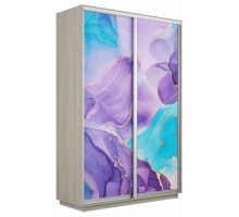 Шкаф-купе Экспресс Фото дуо 1002 1200x600x2400