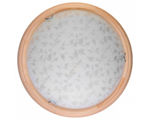 Накладной светильник TopLight Beatrice TL9280Y-00PN