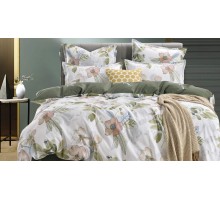 Постельное белье евростандарт Азиза