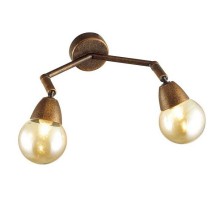 Спот Lumion Zianox 3596/2W