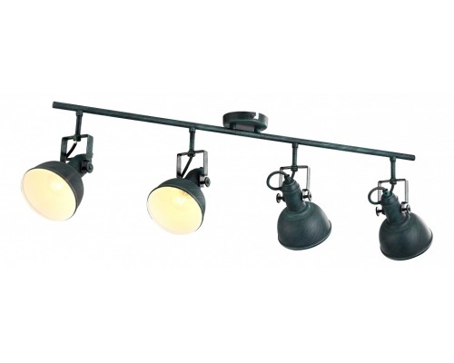 Спот Arte Lamp Martin A5215PL-4BG