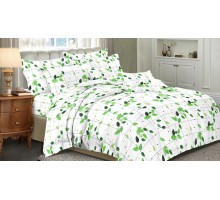 Постельное белье полутораспальное Art Color 065-AC