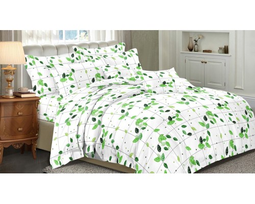 Постельное белье полутораспальное Art Color 065-AC