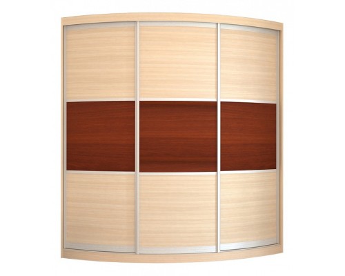 Шкаф-купе Мебелеф-5