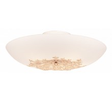 Накладной светильник SilverLight Verbena 835.50.5