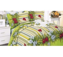 Постельное белье евростандарт B-10