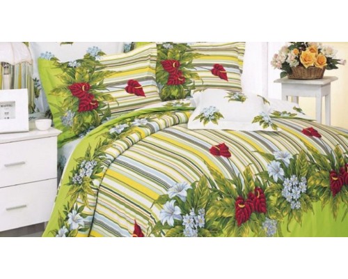 Постельное белье евростандарт B-10