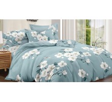 Постельное белье семейное Art Color 050-AC