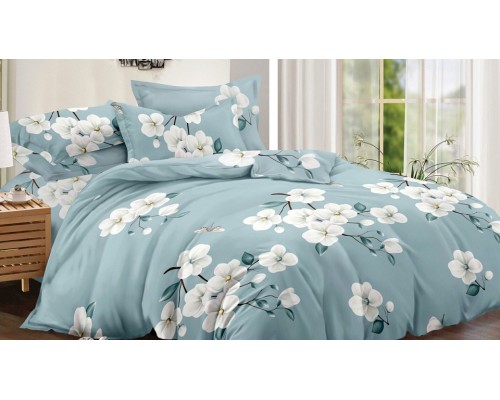 Постельное белье семейное Art Color 050-AC