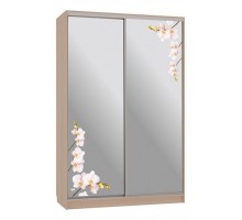 Шкаф-купе Рио 4-600 орхидеи