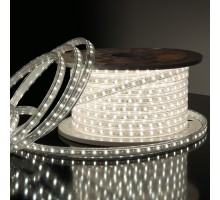 Лента светодиодная Elektrostandard LS013 a041343