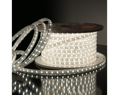 Лента светодиодная Elektrostandard LS013 a041343