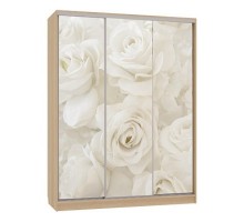 Шкаф-купе Бассо 7-600 розы