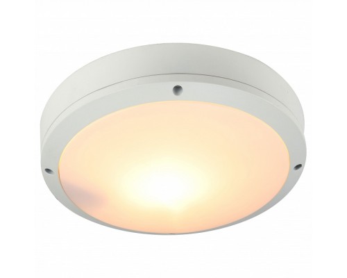 Накладной светильник Arte Lamp City A8154PF-2WH