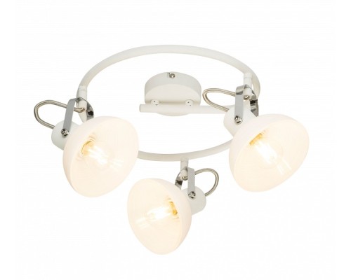 Спот Globo Amory 54657-3