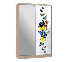 Шкаф-купе Гранд 9-600 88