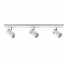 Спот Paulmann Zyli 66713