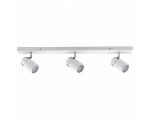 Спот Paulmann Zyli 66713