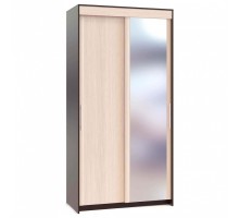 Шкаф-купе ШР-124.2