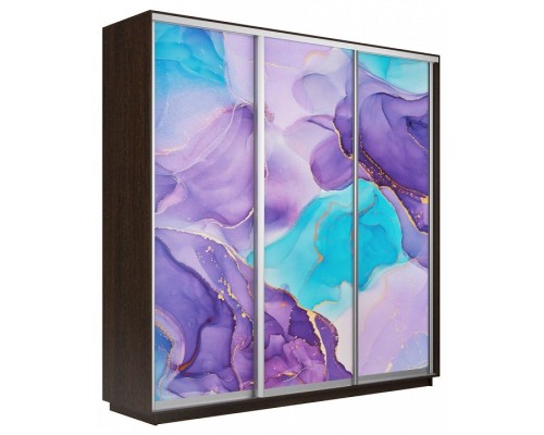 Шкаф-купе Экспресс Фото трио 1002 2100x600x2200