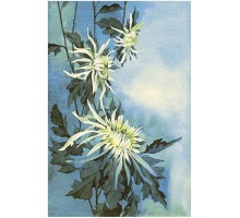 Ковер интерьерный (170x240 см) Hunnu