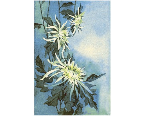 Ковер интерьерный (170x240 см) Hunnu