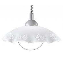 Подвесной светильник Eglo Brenda 87062