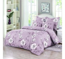 Постельное белье евростандарт Китнис