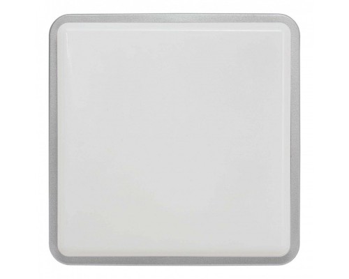 Накладной светильник Nowodvorski Tahoe Silver 3243