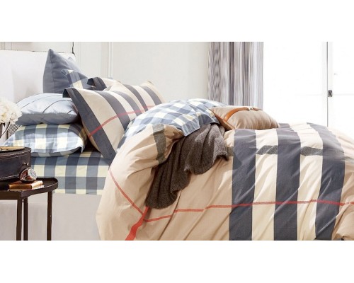 Постельное белье евростандарт CL-280