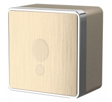 Розетка для вывод кабеля Werkel Gallant (шампань рифленый) WL15-16-01