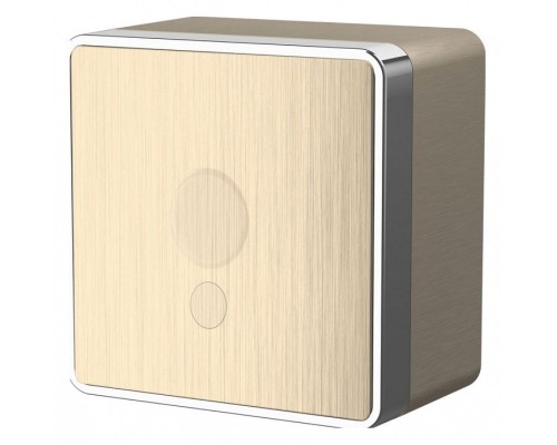 Розетка для вывод кабеля Werkel Gallant (шампань рифленый) WL15-16-01