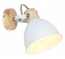 Спот Globo Wiho 54018-1