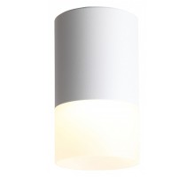 Накладной светильник ST-Luce Ottu 