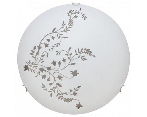 Накладной светильник Arte Lamp Symphony A3820PL-1CC