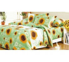 Постельное белье евростандарт A-116