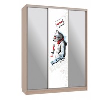 Шкаф-купе Бассо 9-600 энерджи